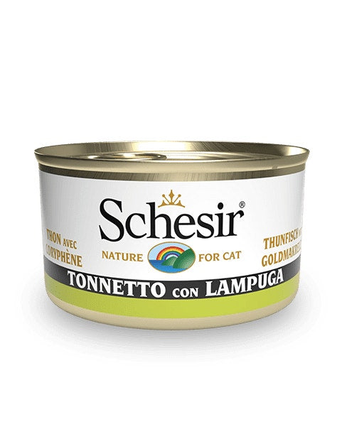 Sauber Ligne Charme 70 deniers Collants maille lisse