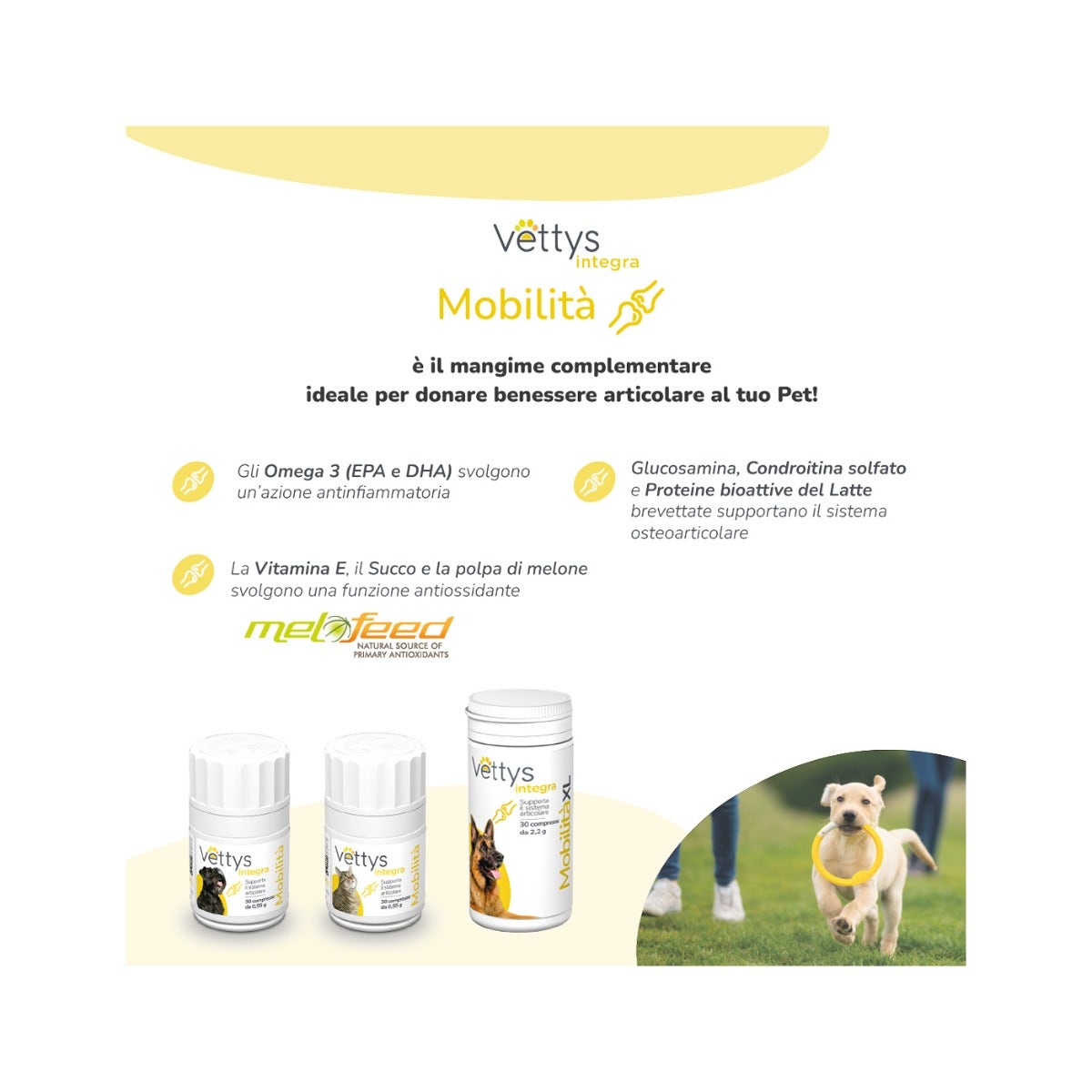 Vettys Integra Mobilità Per Gatti 30 Compresse
