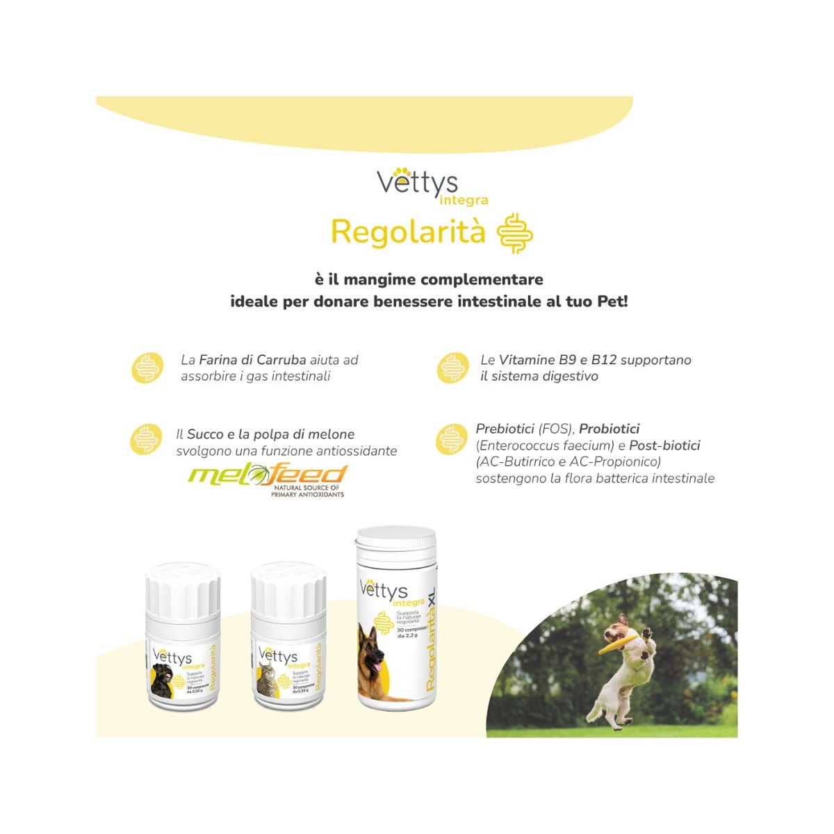 Vettys Integra Regolarità Per Gatti 30 Compresse