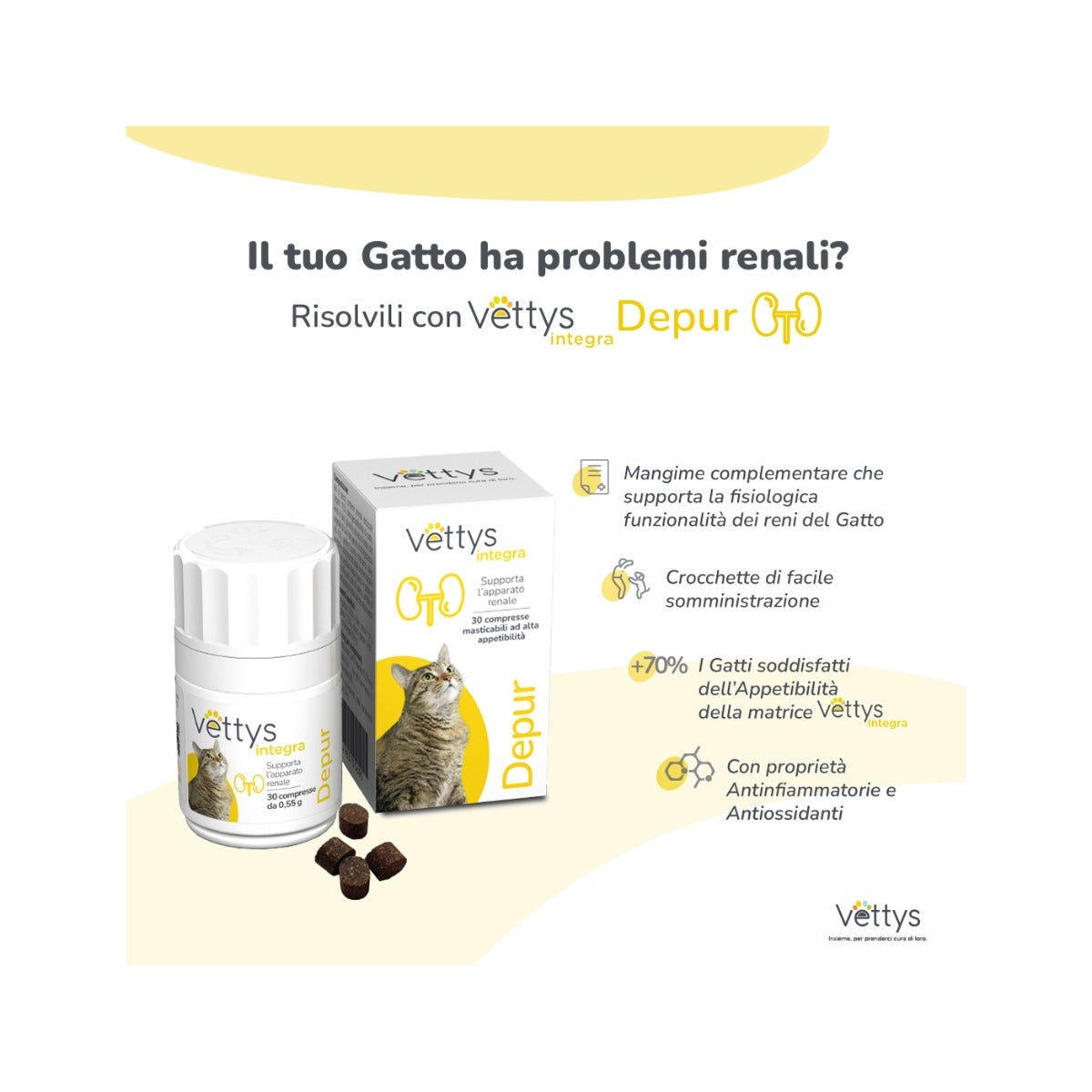 Vettys Integra Depur Per Gatti 30 Compresse