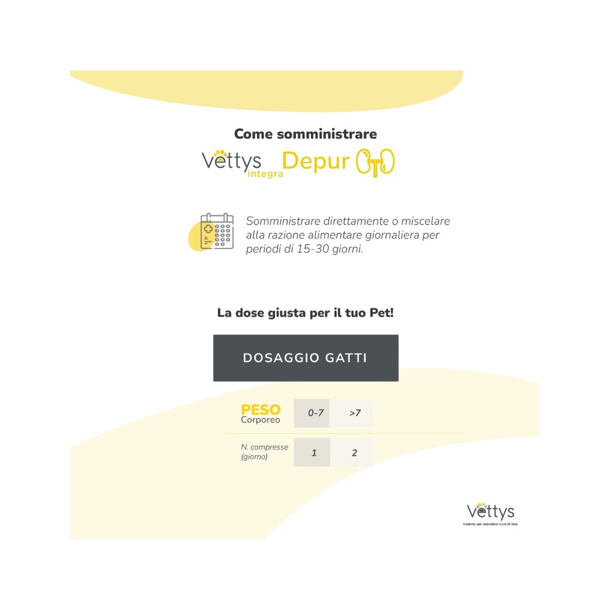 Vettys Integra Depur Per Gatti 30 Compresse