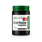 Sanavita Charbon Végétal 60 Comprimés