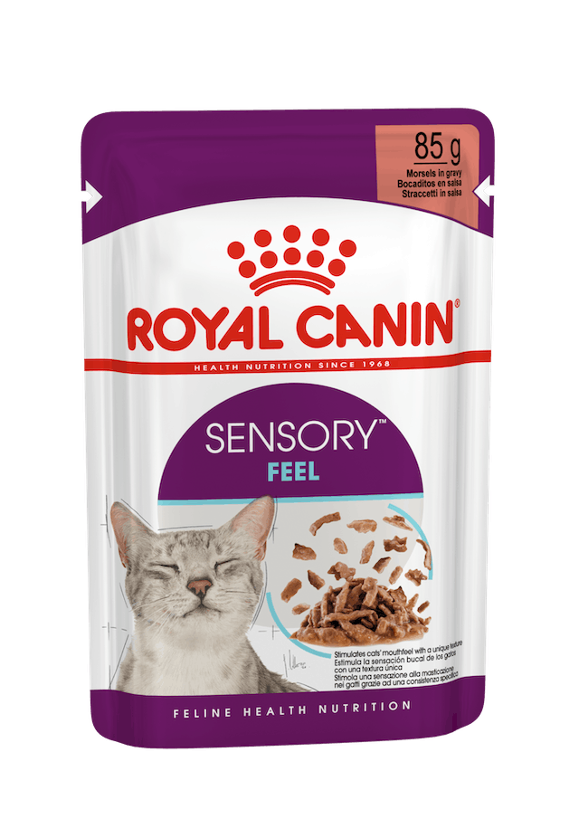 Royal Canin Sensory Feel Lamelles en sauce pour chats adultes, sachet de 85 g