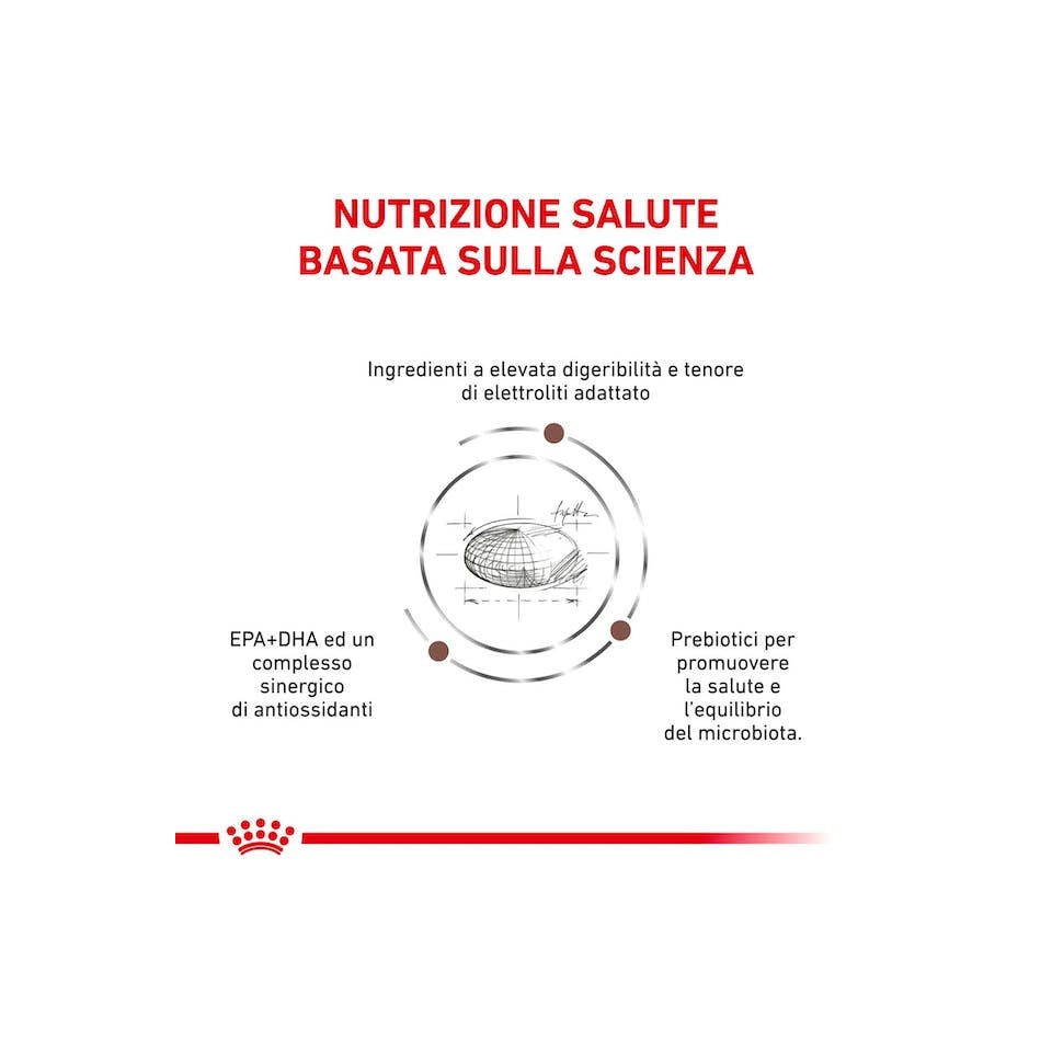 Royal Canin Veterinary Diet Gastrointestinal Croquettes pour chiens adultes, sac de 2 kg