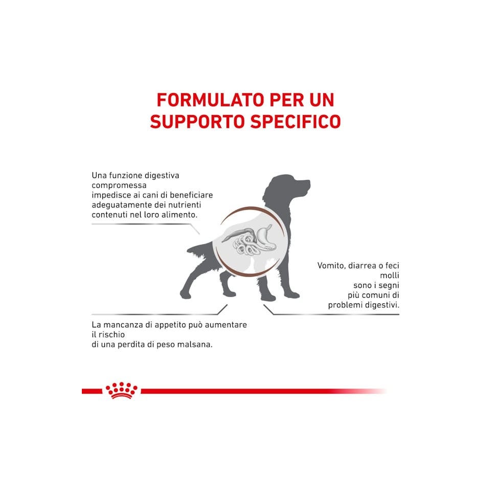 Royal Canin Veterinary Diet Gastrointestinal Croquettes pour chiens adultes, sac de 2 kg