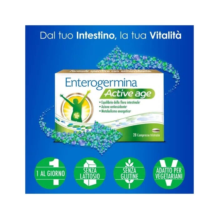 Enterogermina Active Age Vitamine B12 Ferments Lactiques Probiotiques Bien-être Flore Intestinale Antioxydant Réduction de la Fatigue 28 comprimés
