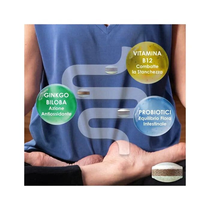 Enterogermina Active Age Vitamine B12 Ferments Lactiques Probiotiques Bien-être Flore Intestinale Antioxydant Réduction de la Fatigue 28 comprimés