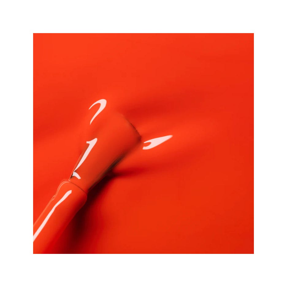 Edgard & Cooper Adult Dinde et Poulet Biologiques Sans Gluten Croquettes pour Chiens 7 kg
