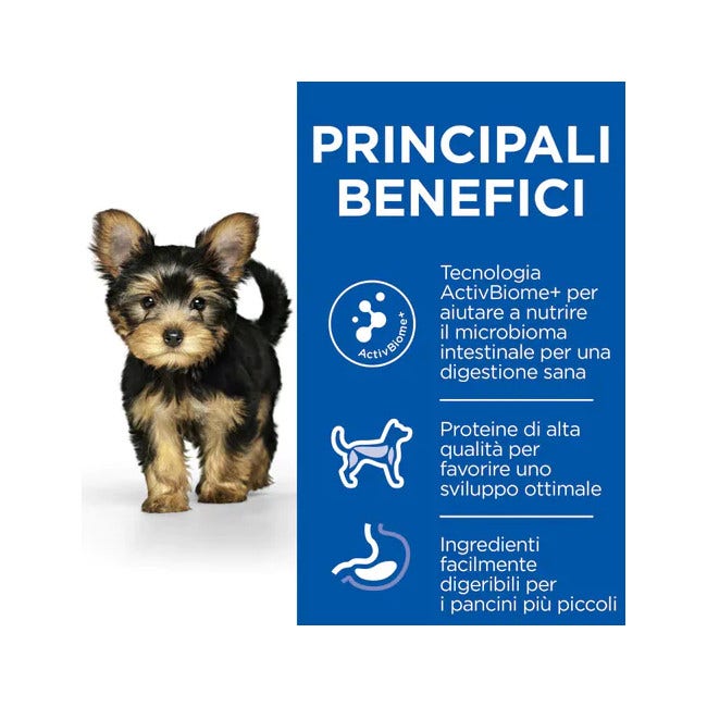 Hill's Prescription Diet Diabetes Care w/d Croquettes au poulet pour chiens adultes Sac de 10 kg