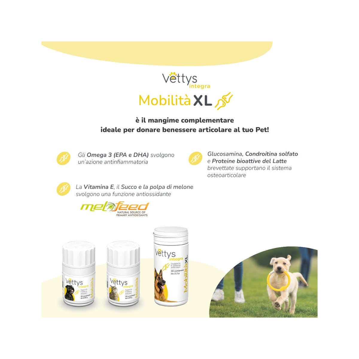 Vettys Integra Mobilità Per Cani Taglia XL 30 Compresse