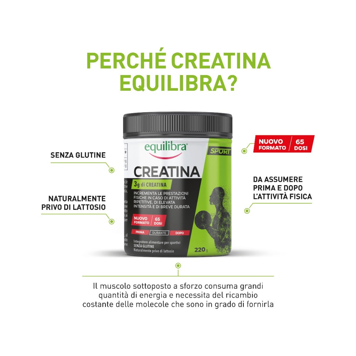 Equilibra Creatina Integratore 220g