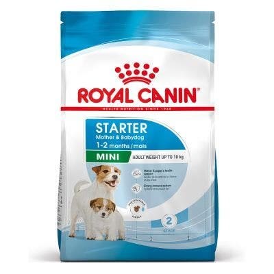 Royal Canin Mini Starter Mother & Babydog Crocchette Per Cagne/Cuccioli Taglia Piccola Sacco 8kg