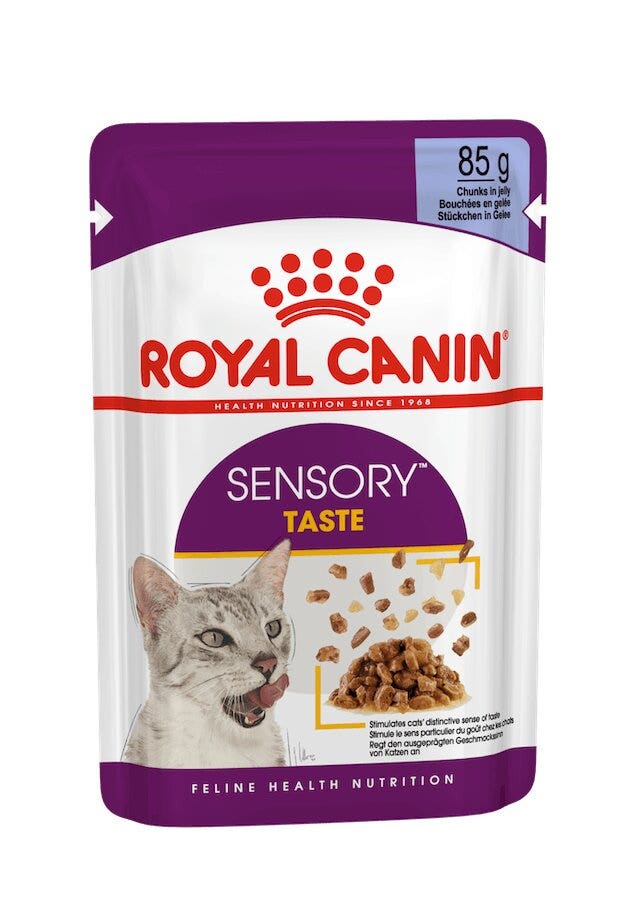Royal Canin Sensory Taste Bouchées en gelée pour chats adultes Sachet 85 g