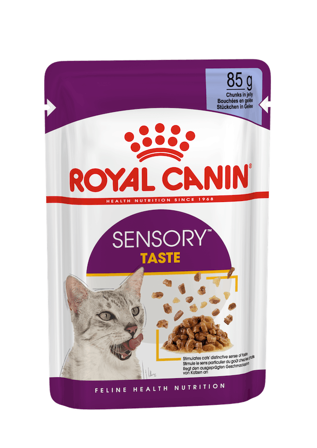 Royal Canin Sensory Taste Bouchées en gelée pour chats adultes Sachet 85 g