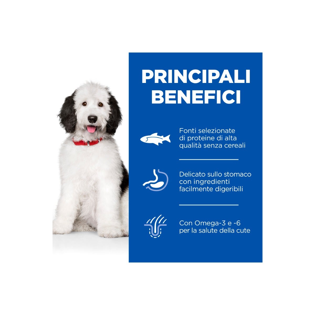 Hill's Science Plan Hypoallergenic Al Salmone Cibo Secco Cani Adulti Taglia Grande Sacco 14kg