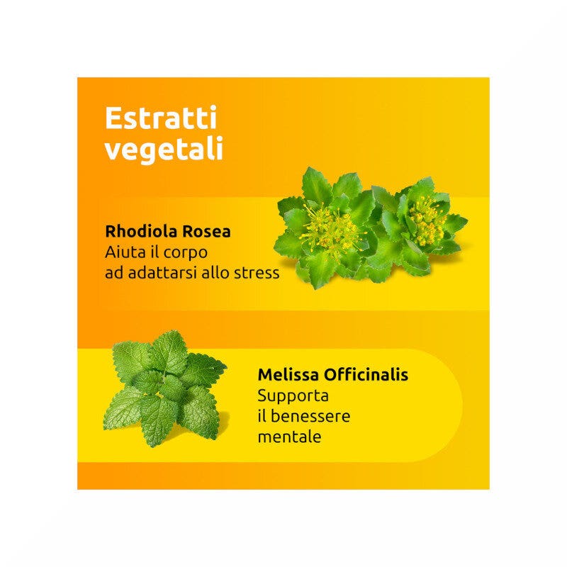 Supradyn Recharge No Stress Complément alimentaire à base de vitamines et de magnésium contre la fatigue due au stress 20 sachets