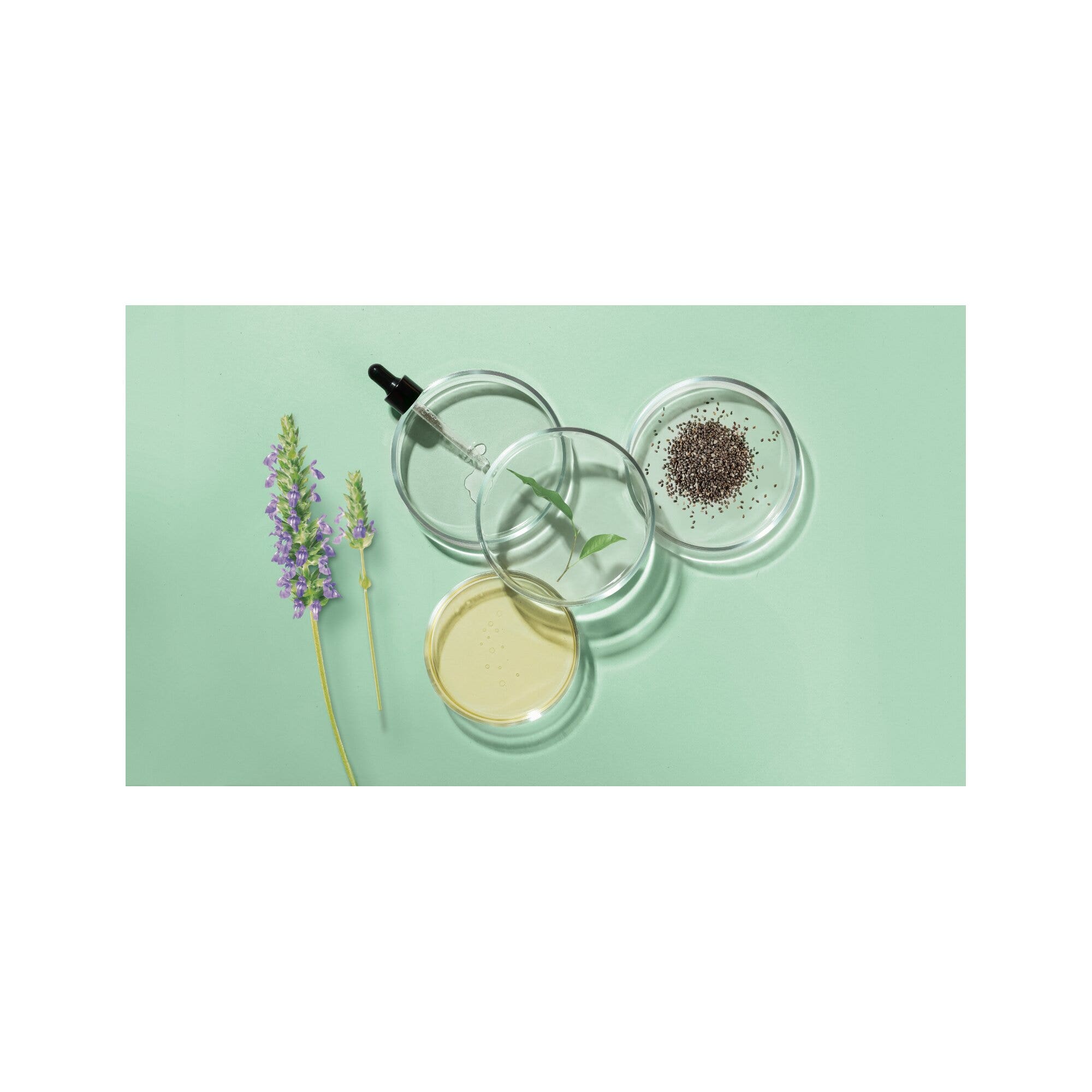 Herbatint Detox Shampooing 260 ml