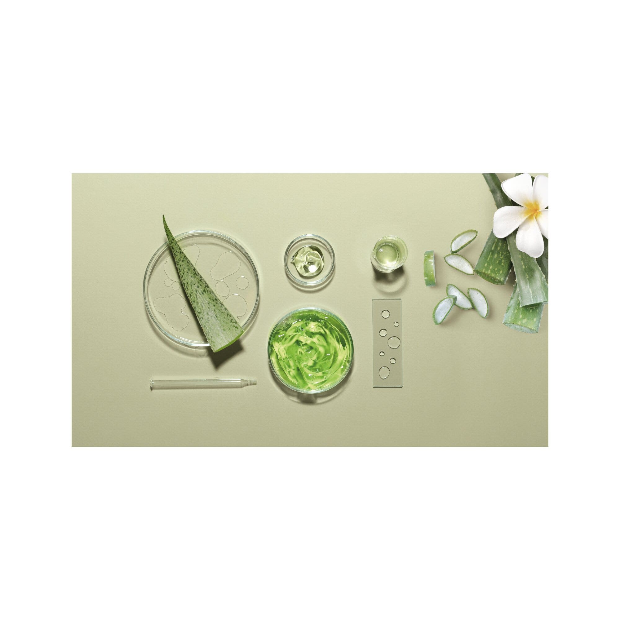 Herbatint Repair Shampooing réparateur 260 ml