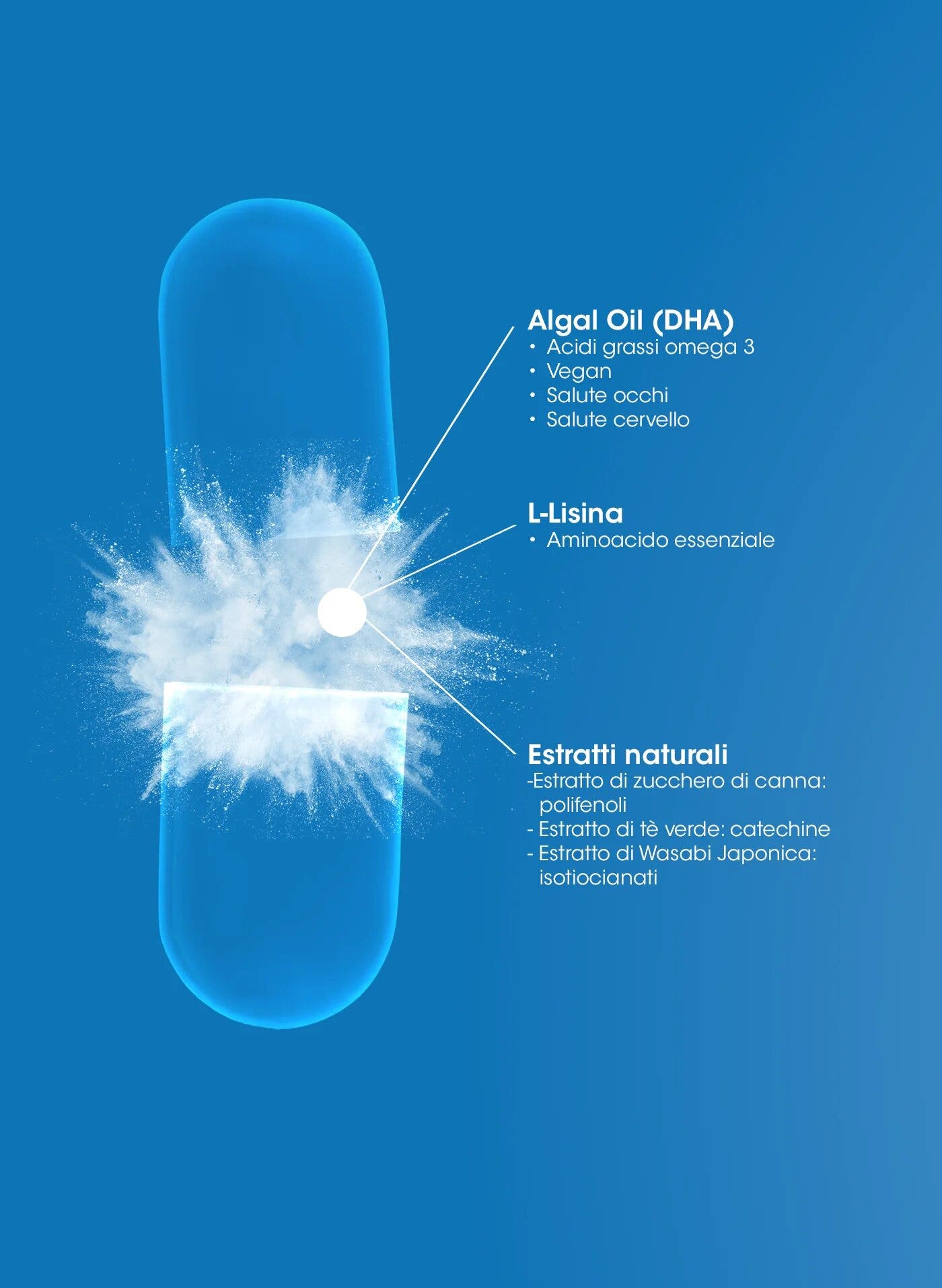 ProLon L-Pill Antiossidante e Antiage 60 Capsule