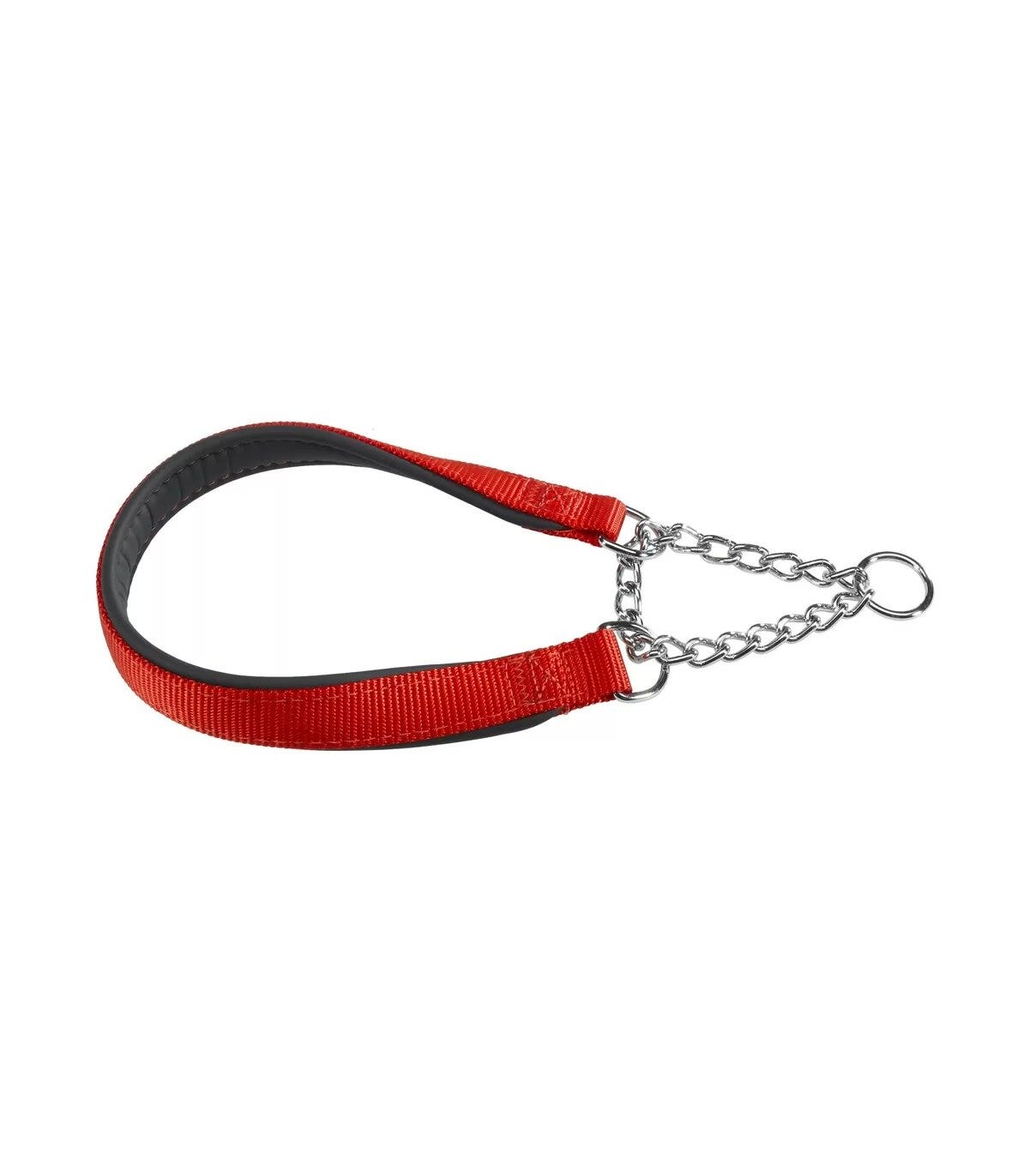 Ferplast Daytona CSS Collare Semistrangolo Nylon Soffice Imbottitura Rosso Per Cani CSS25/65