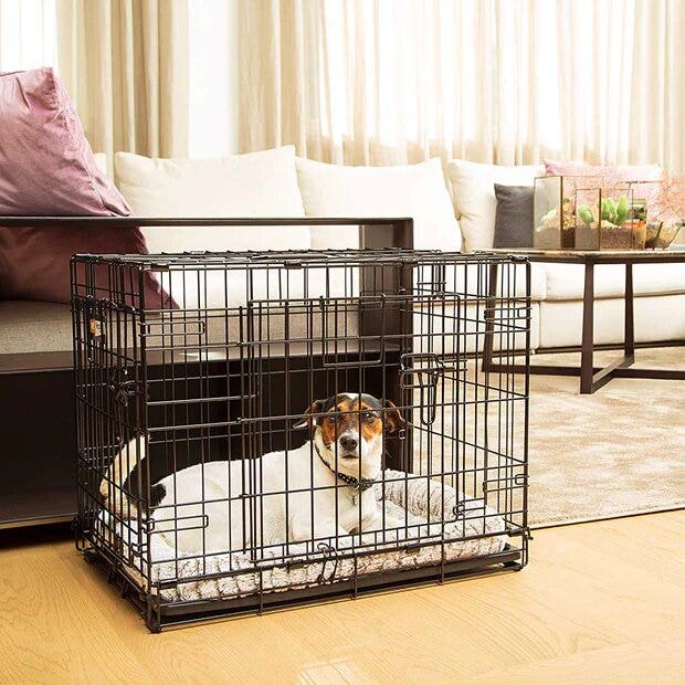 Ferplast Dog Inn Box Pieghevole Per Cani Taglia 60