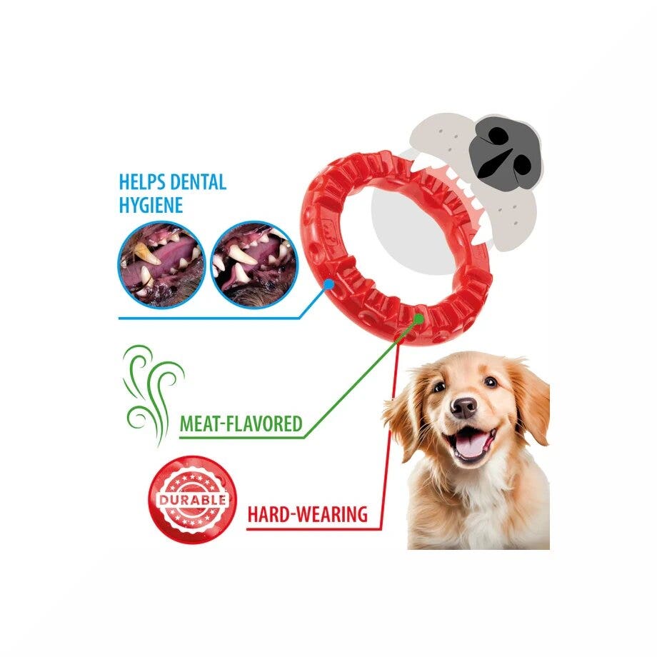 Ferplast Smile Ring Jouet dentaire anneau taille Medium rouge pour chiens
