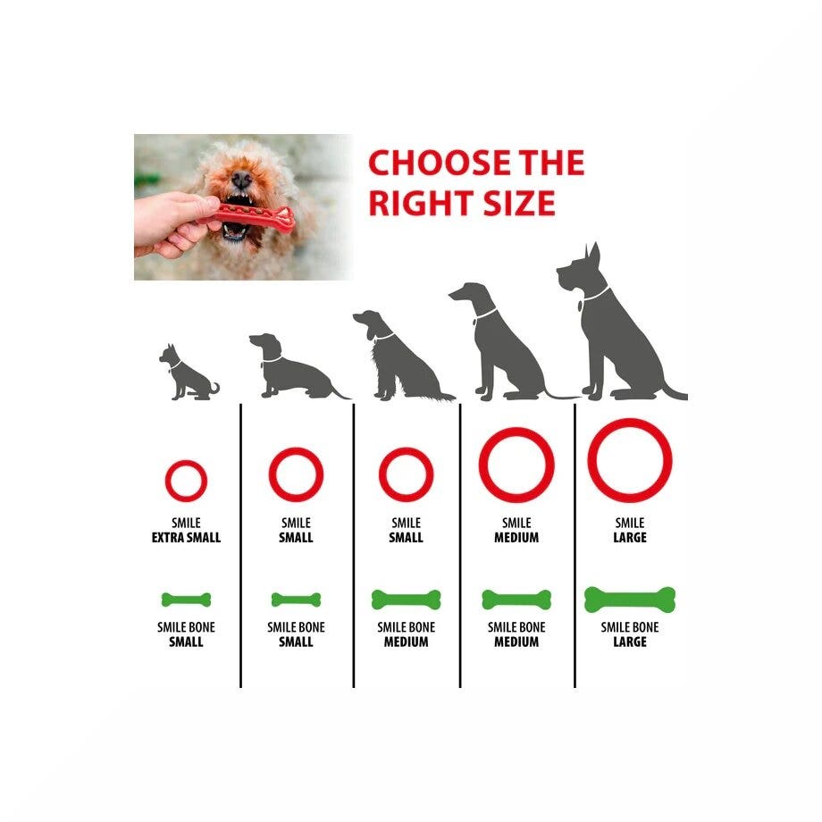 Ferplast Smile Ring Jouet dentaire anneau taille Medium rouge pour chiens