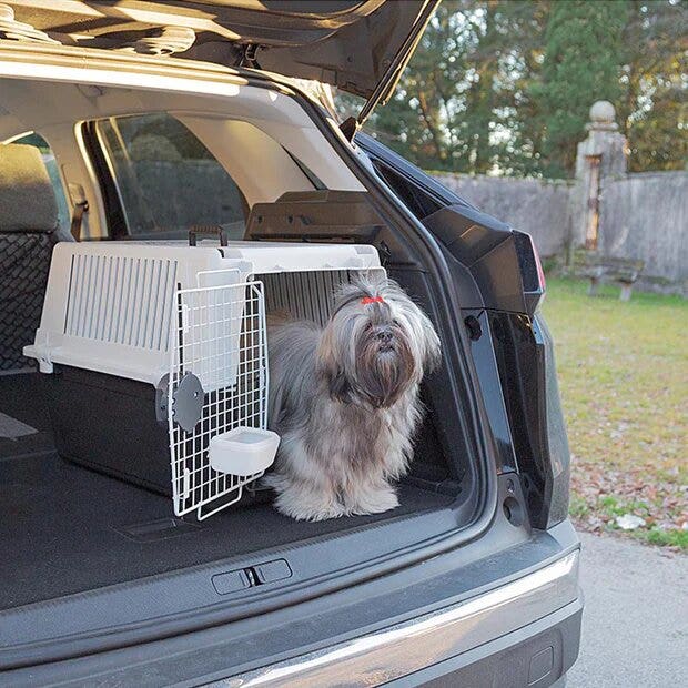 Ferplast Atlas 40 Cage de transport