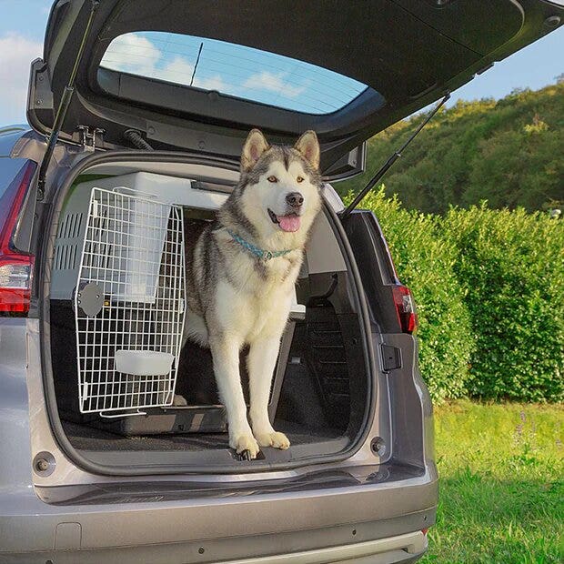 Ferplast Atlas 70 Cage de transport