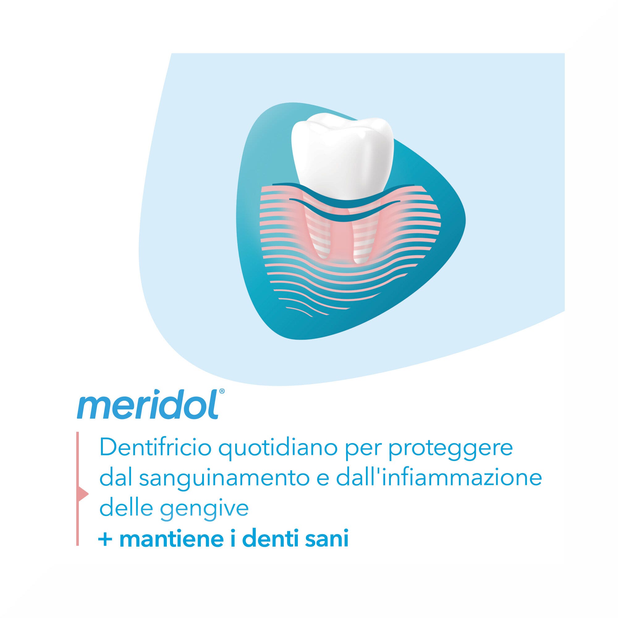 Meridol Dentifrice Protection des gencives avec effet antibactérien 75 ml