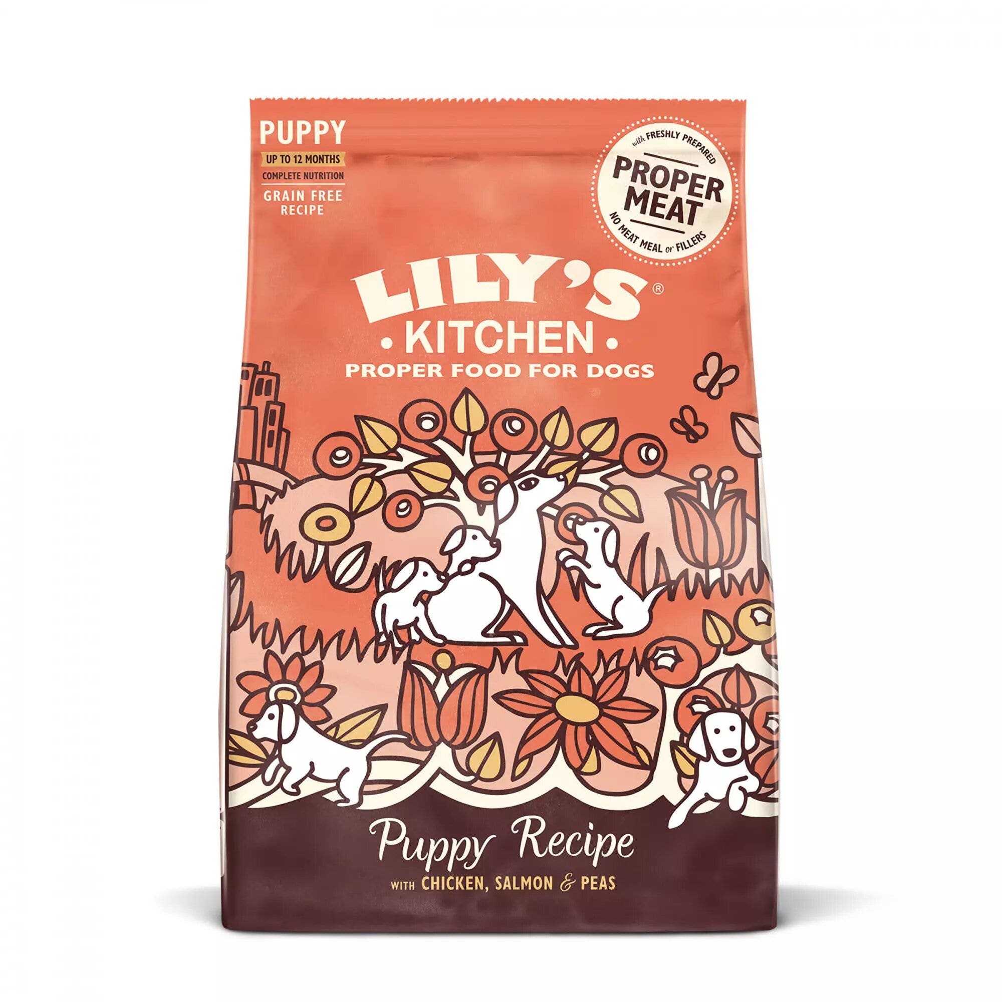 Lily's Kitchen Poulet & Saumon pour chiots 2,5 kg