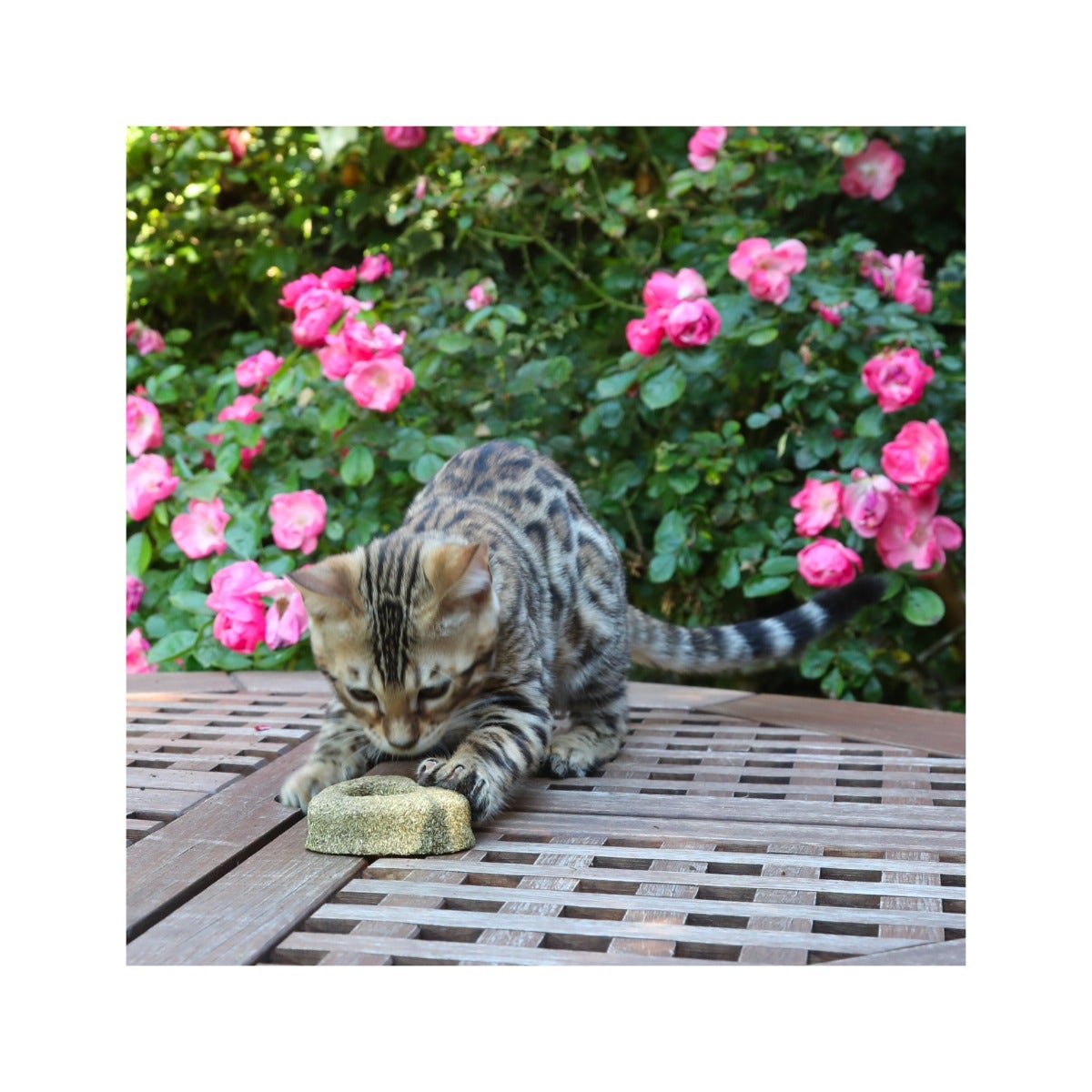 Croci Euphoria Cœur avec herbe à chat Jouet pour chats 7 cm