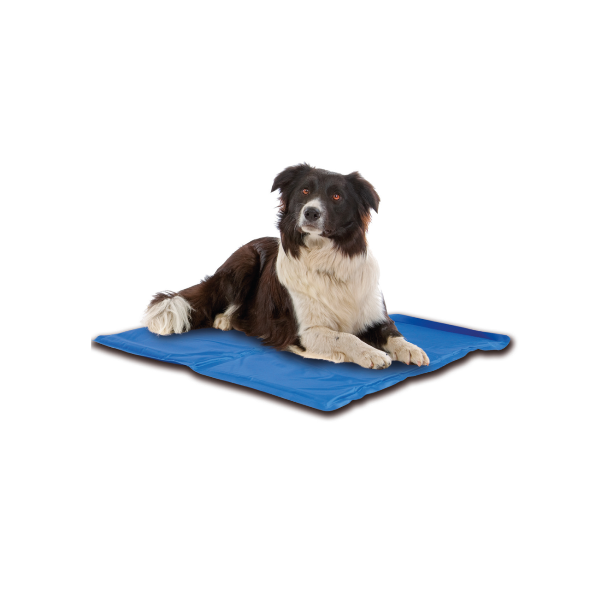 Croci Tapis rafraîchissant pour chiens motif citrons 50 x 40 cm
