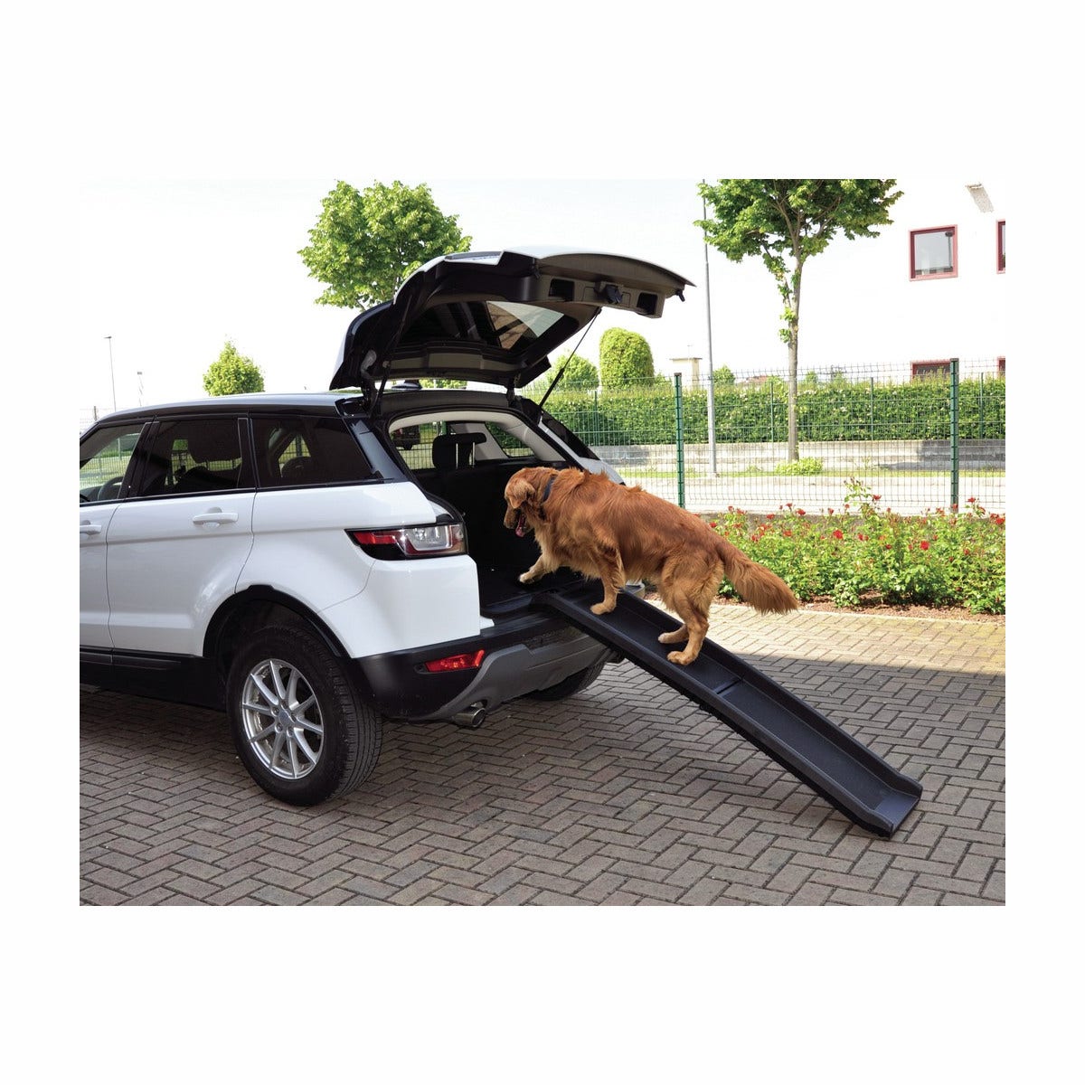 Camon Walky Ramp Rampe en plastique pour chiens