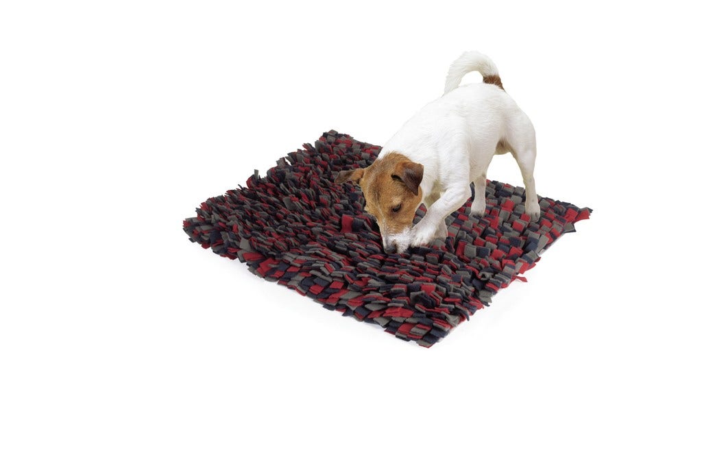 Camon Gioco Per Cani E Gatti Tappetino Genius 50x60cm