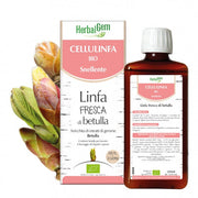 Oti Cynara Scolymus Teinture mère en gouttes 100 ml