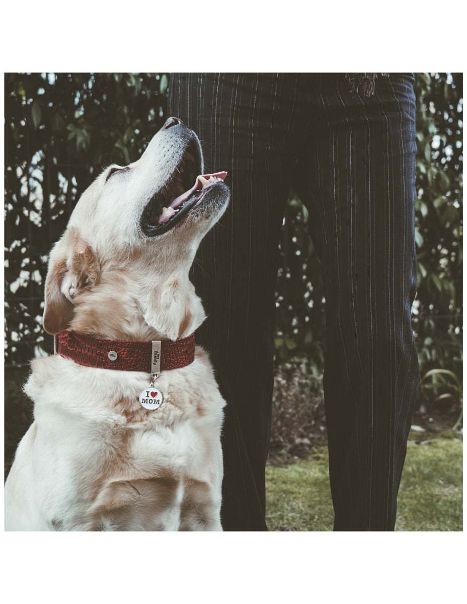 Médaille personnalisée pour chiens et chats « I Love Mom »