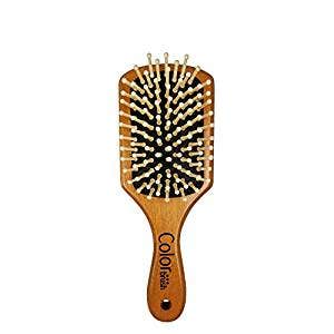 Color Brush Wood Spazzola M 1 Pezzo