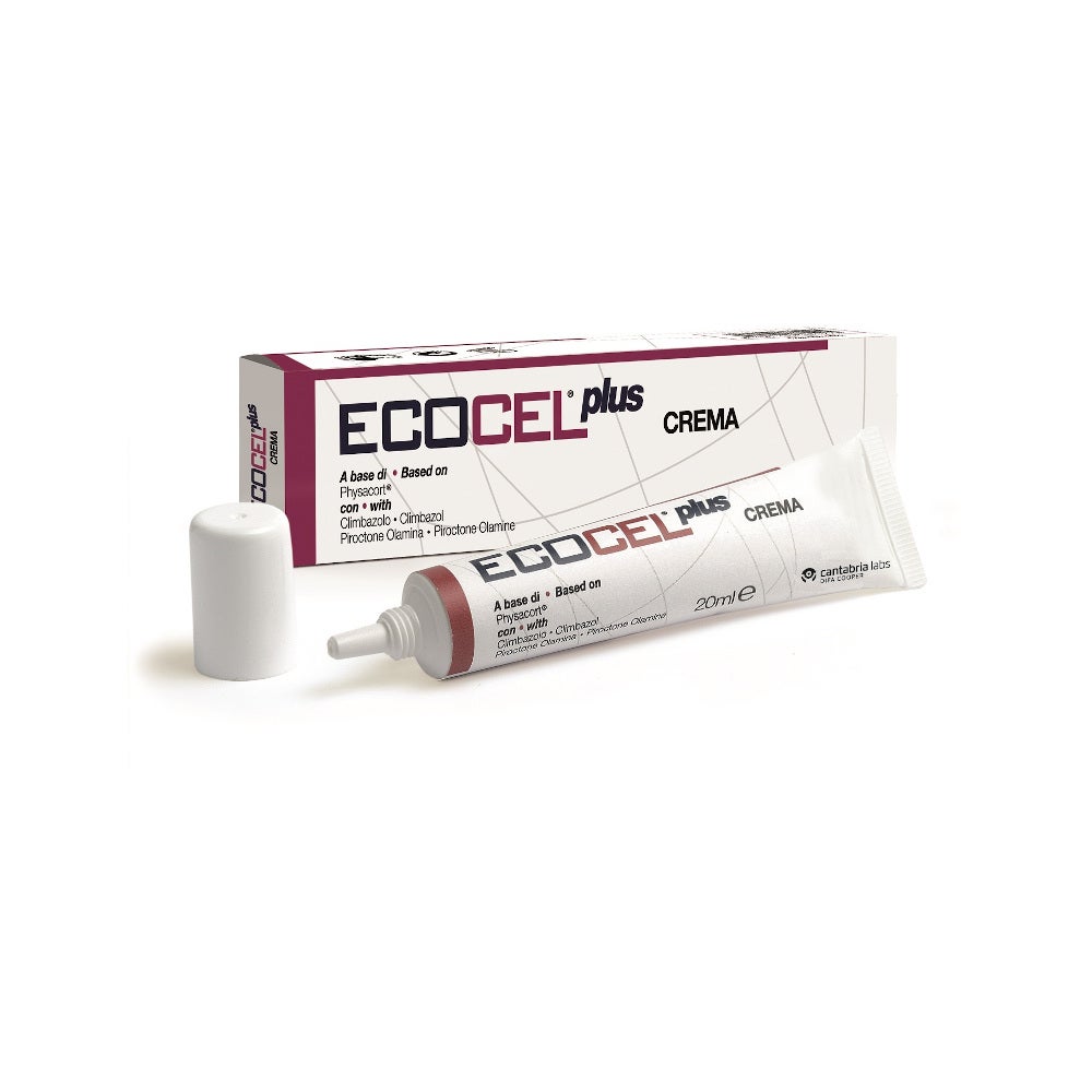 Transpore Distributeur de patchs en rouleau transparent 2