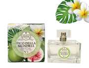 Nesti Dante N 1 Fico Della Signoria Profumo 100ml