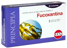 PRIX BOUGIE CHALEUREUSE VIN CHAUD