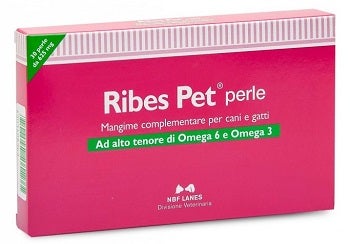 SNELL PATCH PROGRESS CER 14 pièces