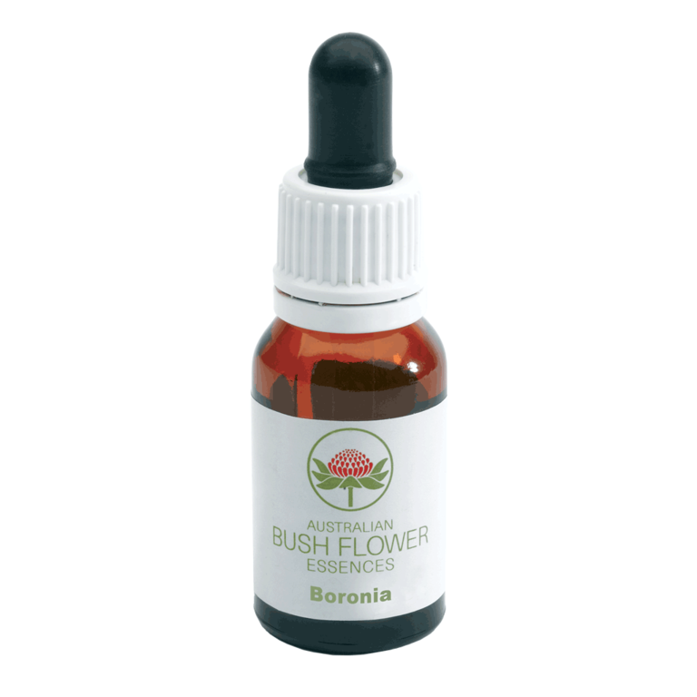 BAUHINIA GOUTTES 15ML