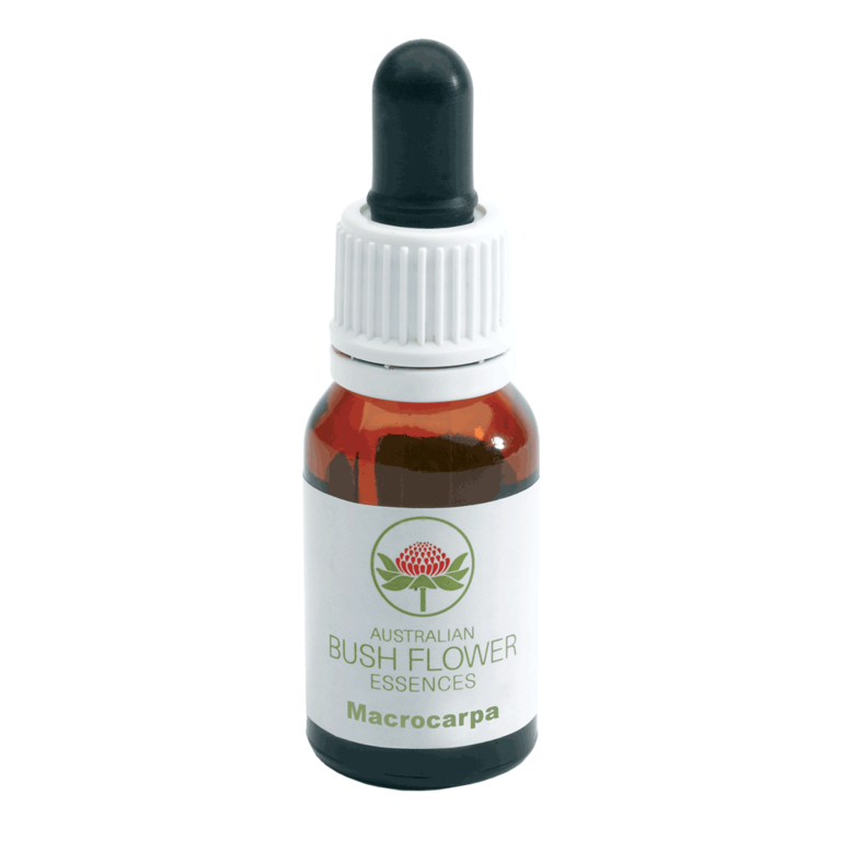 OLD MAN BANKSIA AUSTR 15ML GTT