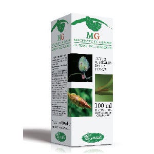 NOCCIOLO 100ML MG