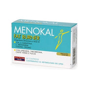 GLUCONATE DE FER 100 COMPRIMÉS