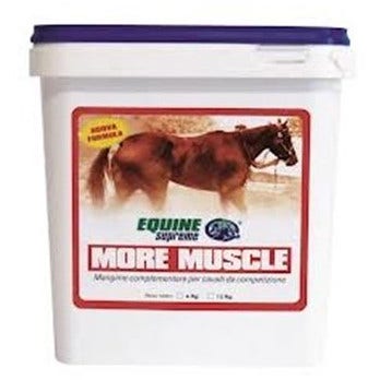 Baule Volante Corn Flakes complets 200 g