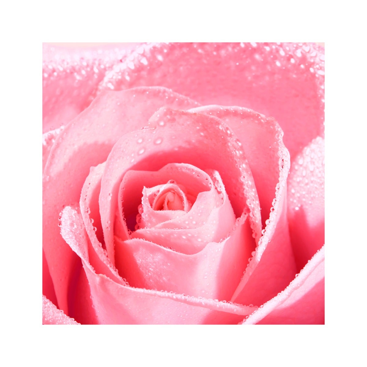 Nuxe Very Rose Crème pour les mains 50 ml
