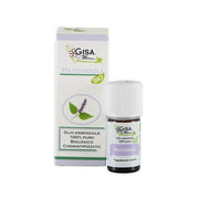 Patchouli Bio 5ml