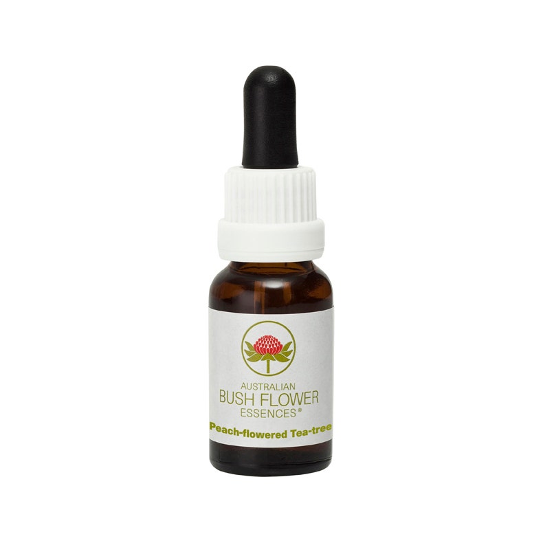 Fleur d'araignée grise australienne 15 ml